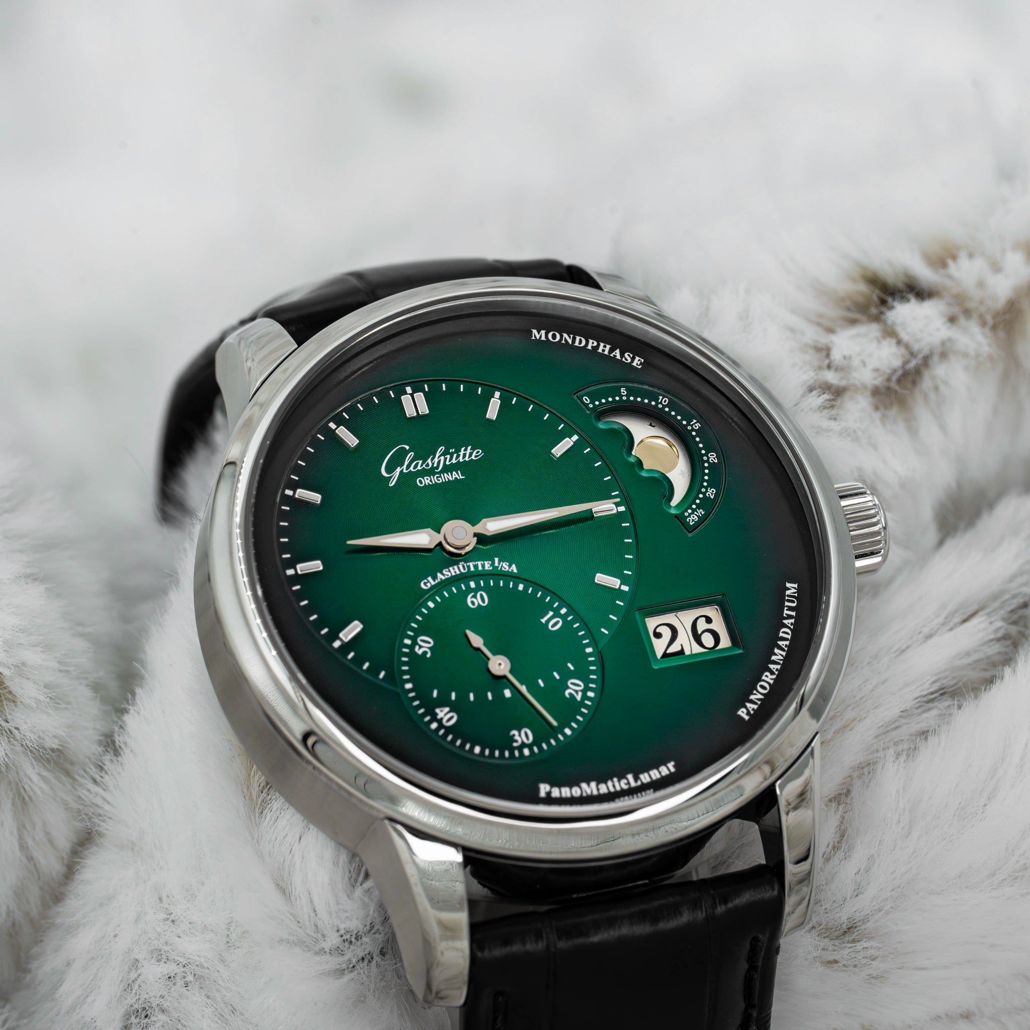 2024 Glashütte Original PanoMaticLunar Green Dial on Black Alligator Strap B+P